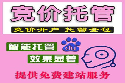 SEM公司案例研究：搜索引擎营销实战经验分享